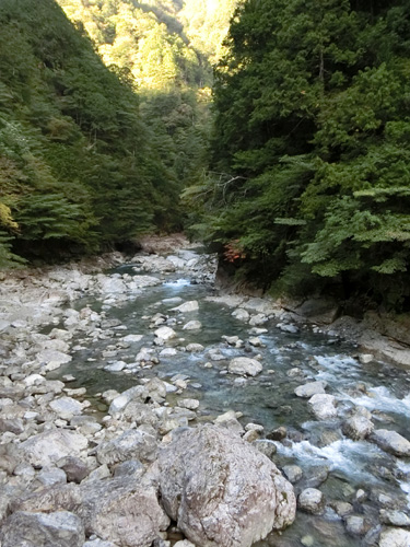 f0007956_17465951.jpg