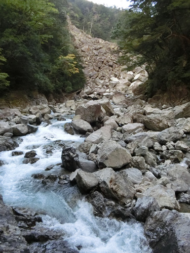 f0007956_19120472.jpg