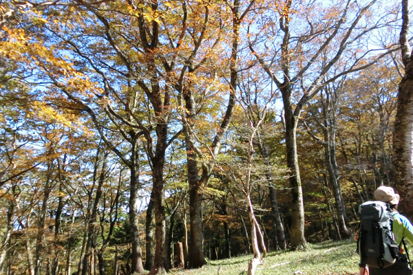f0007956_19141241.jpg