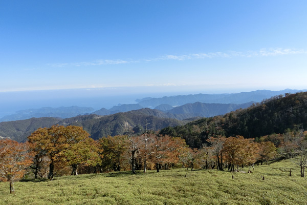 f0007956_20031779.jpg