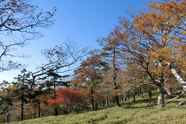 f0007956_20114210.jpg