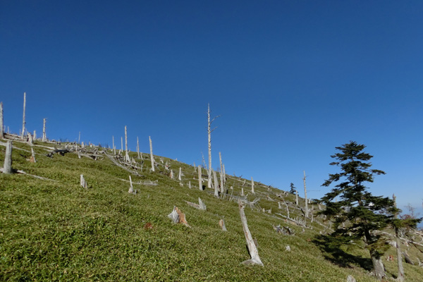 f0007956_20114243.jpg