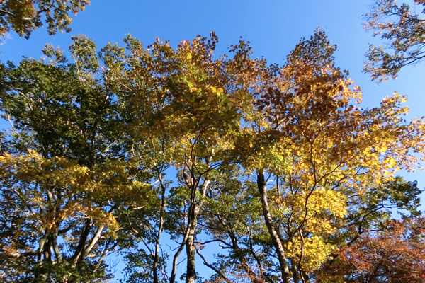 f0007956_20301873.jpg