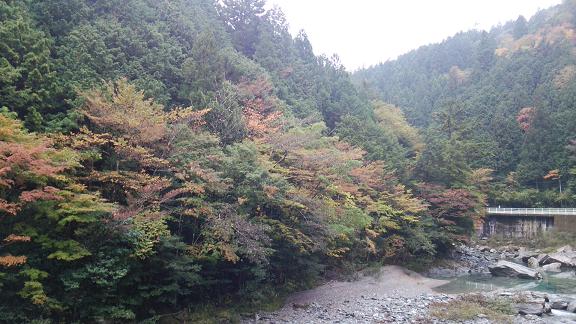 c0172261_11193796.jpg