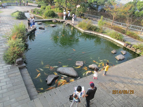 d0029363_2336596.jpg