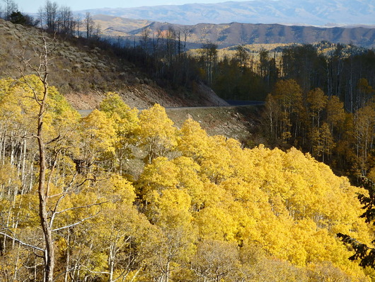 c0115366_241585.jpg