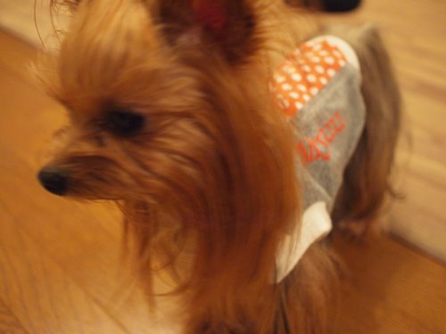 e0248268_09161050.jpg