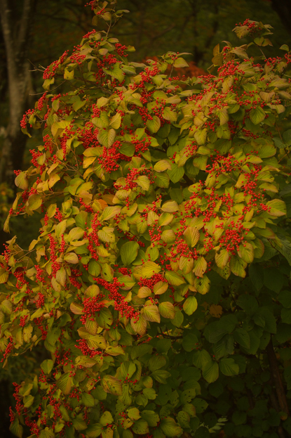 b0011771_1242743.jpg