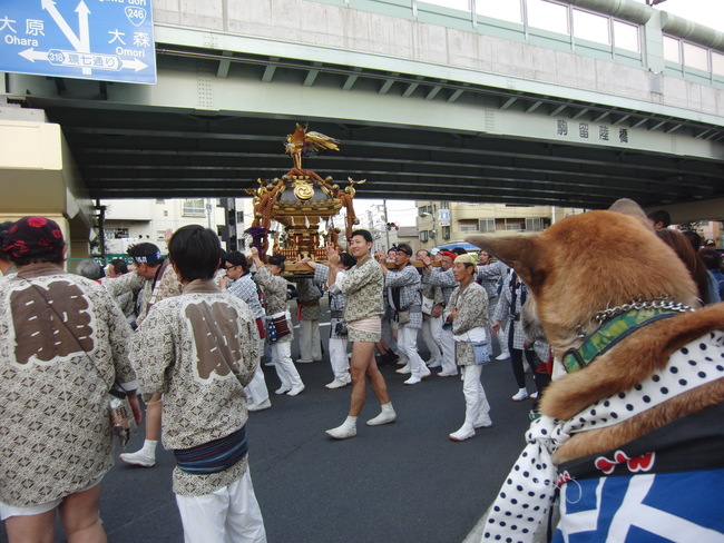 b0246876_1928360.jpg