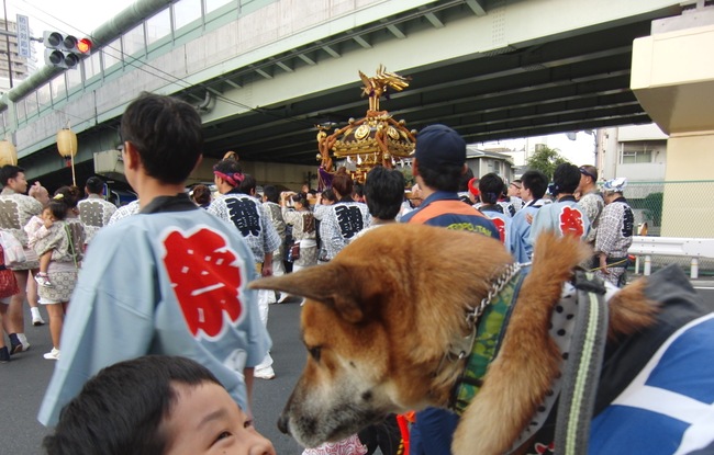 b0246876_19313641.jpg