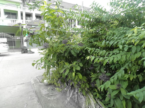 a0002177_14231049.jpg