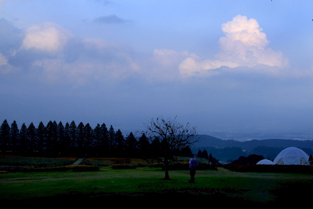 d0126577_222730.jpg