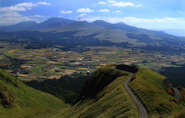 d0126577_2235387.jpg