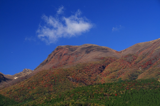 d0126577_225391.jpg