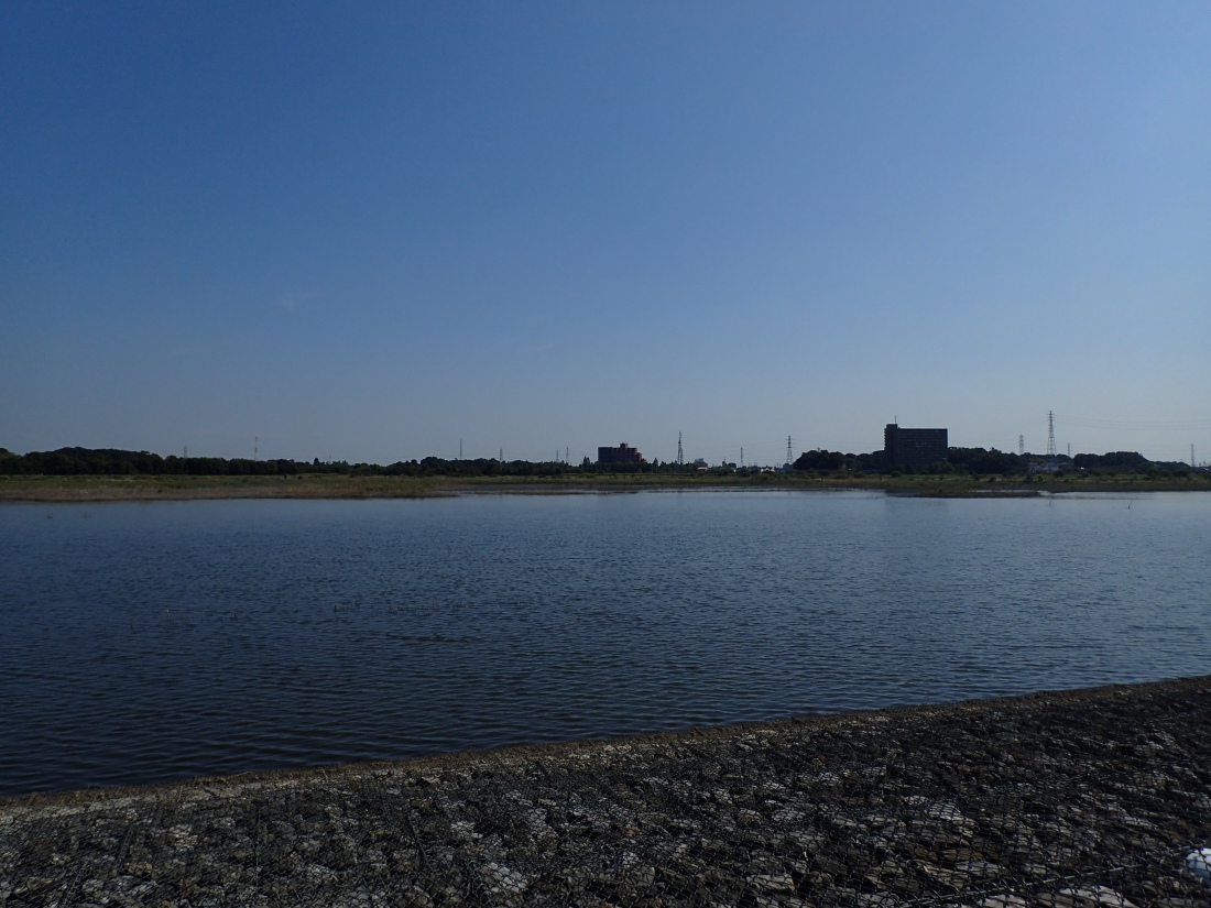 e0249878_20584843.jpg