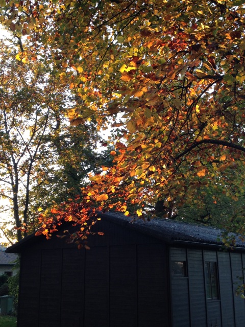 c0024980_16494621.jpg