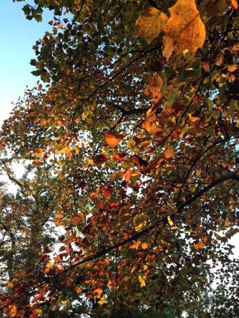 c0024980_16495694.jpg