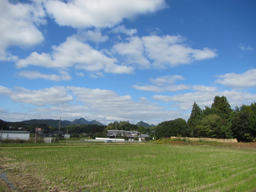 a0251786_1810109.jpg