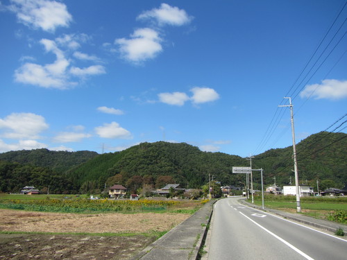 a0251786_1844947.jpg