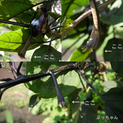 f0353990_13554341.jpg