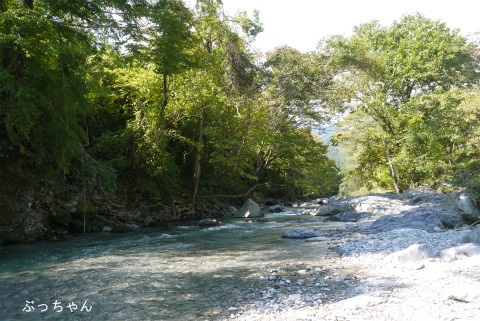 f0353990_15505251.jpg