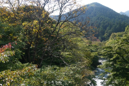 f0353990_15511218.jpg