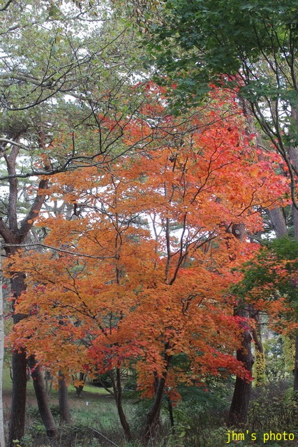 a0158797_035087.jpg