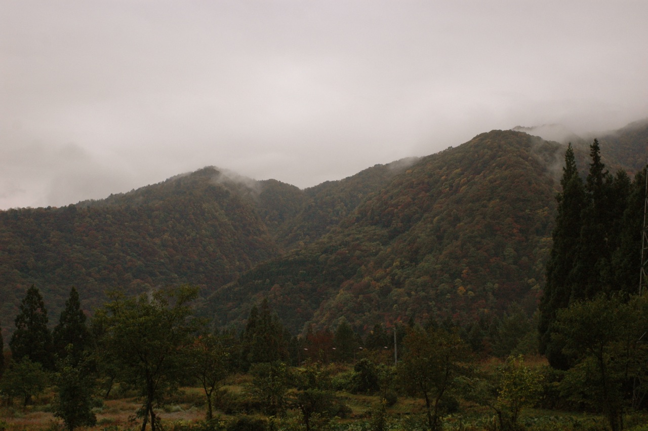a0061599_7424176.jpg