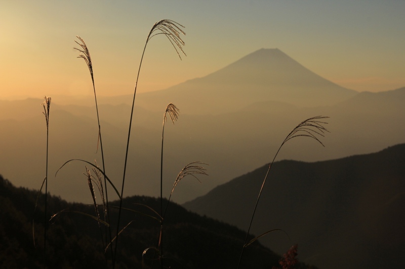 a0188405_03582710.jpg
