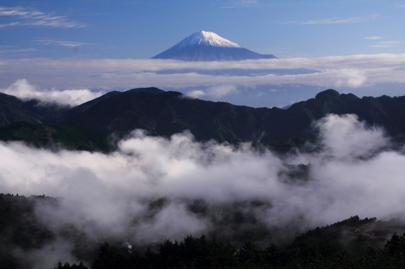 a0188405_20515645.jpg