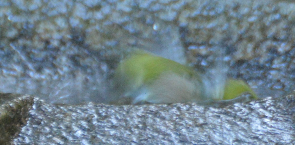 c0301809_18422836.jpg