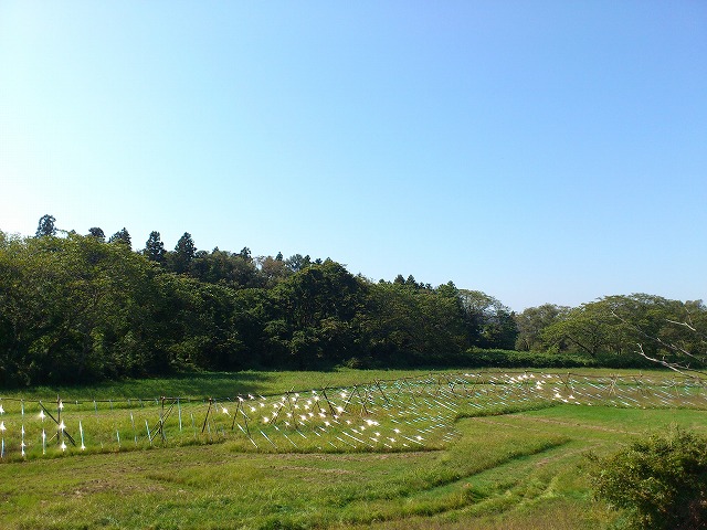 f0100911_2159513.jpg