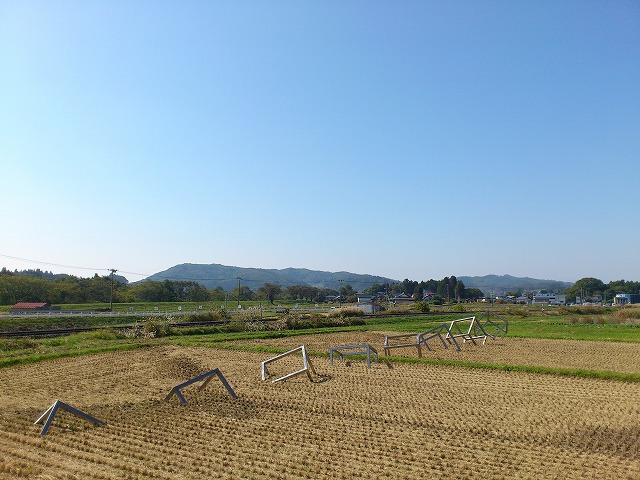 f0100911_2201792.jpg