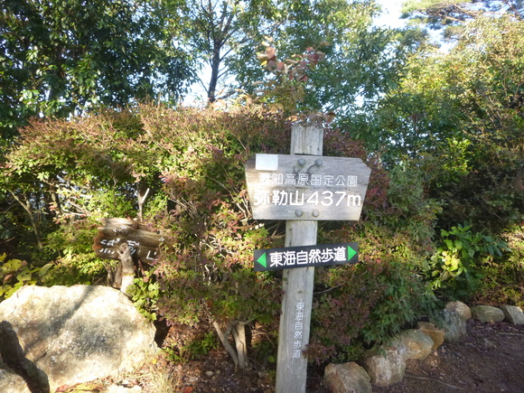 d0170615_20272070.jpg