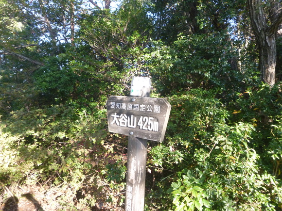 d0170615_202893.jpg