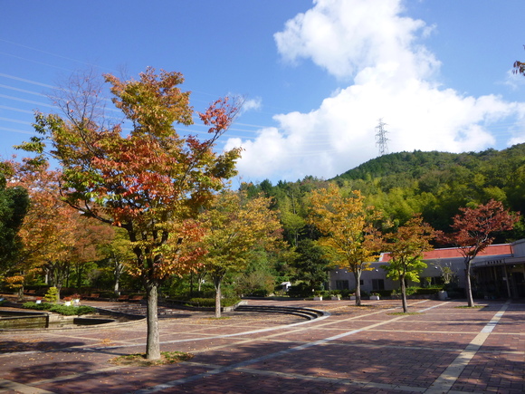 d0170615_20291842.jpg