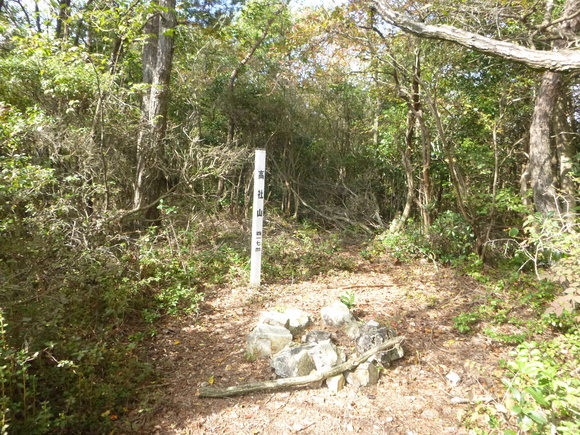 d0170615_20305611.jpg
