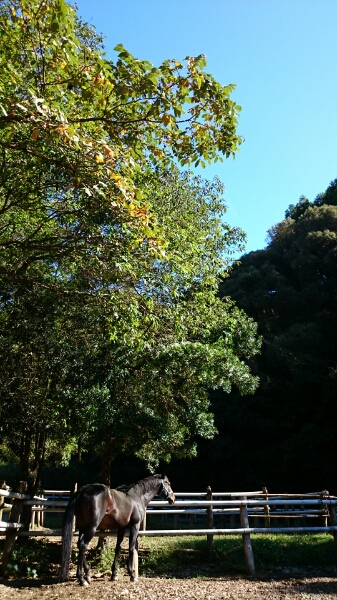b0187620_2164713.jpg