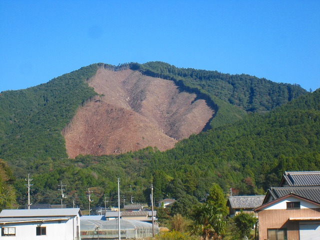 e0002820_650667.jpg