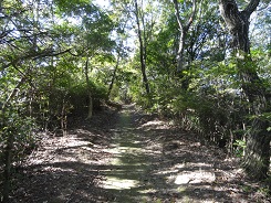 f0000521_18243787.jpg