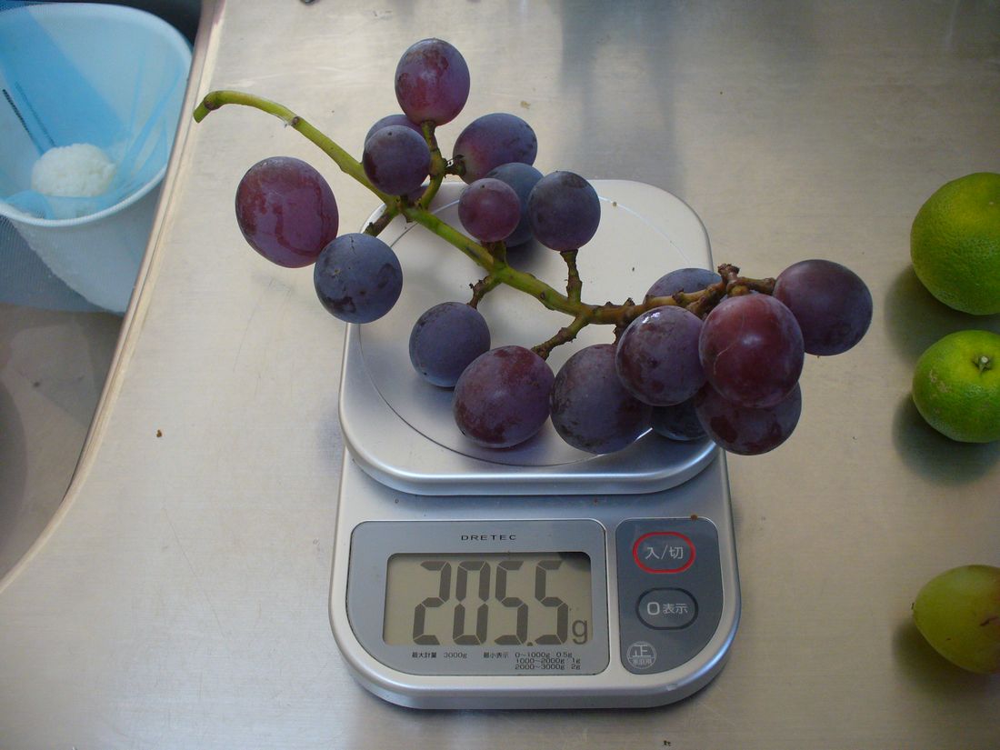 f0346527_2233378.jpg