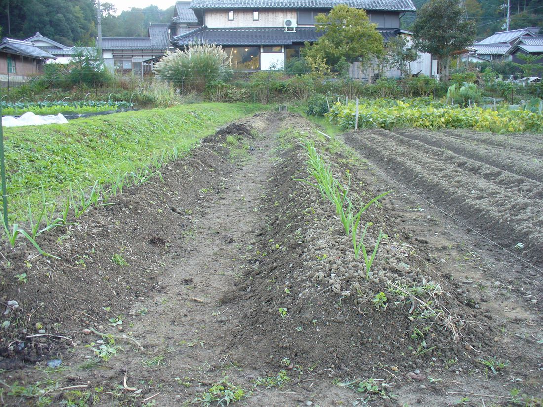 f0346527_22452663.jpg