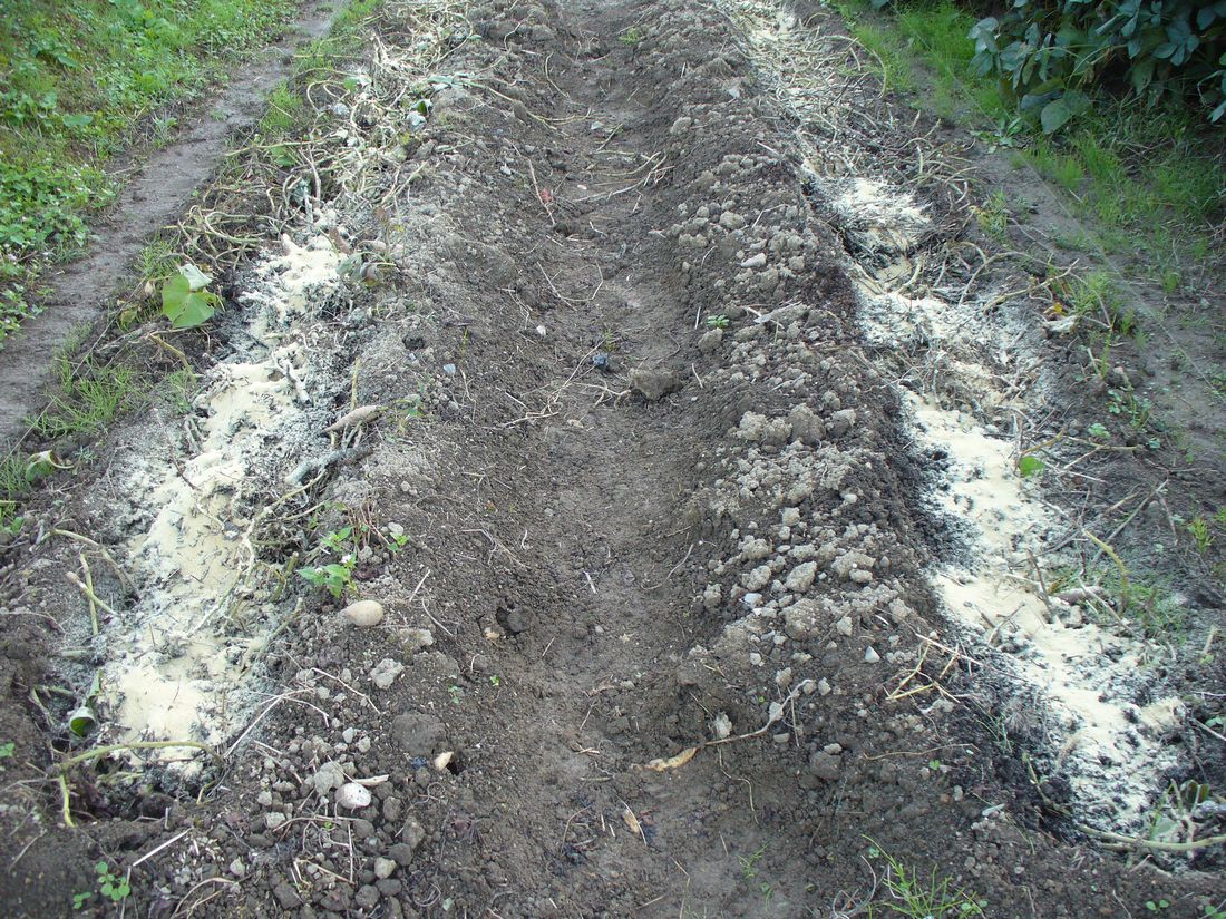 f0346527_22524422.jpg