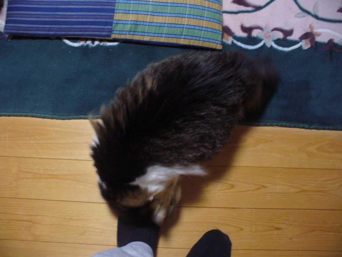 f0346527_2257574.jpg