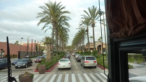 a0230928_1973160.jpg
