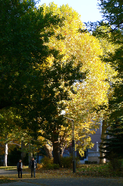a0046429_23501160.jpg