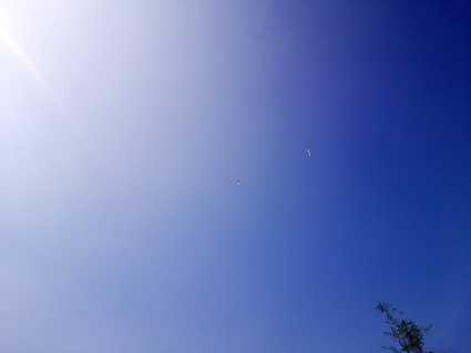 e0066135_21431848.jpg