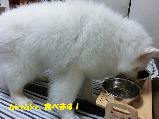 e0196135_16114076.jpg