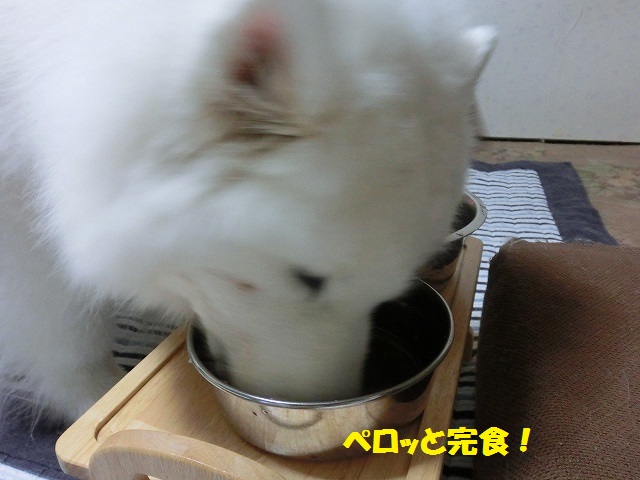 e0196135_16114739.jpg