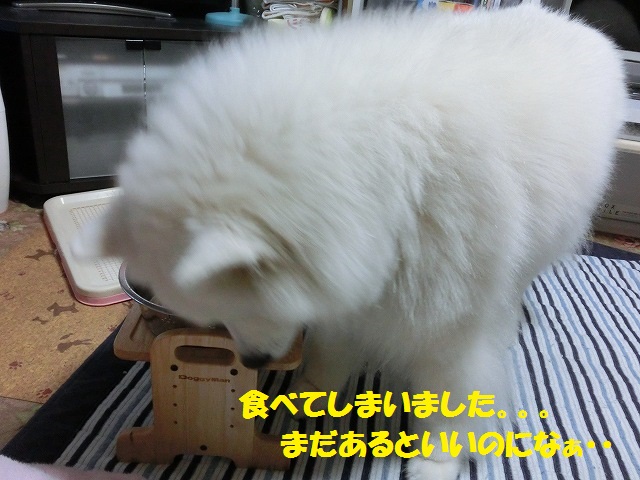 e0196135_1612321.jpg